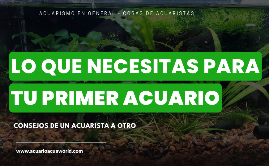 ¿Estas por armar tu primer acuario?